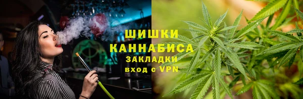 сатива Надым